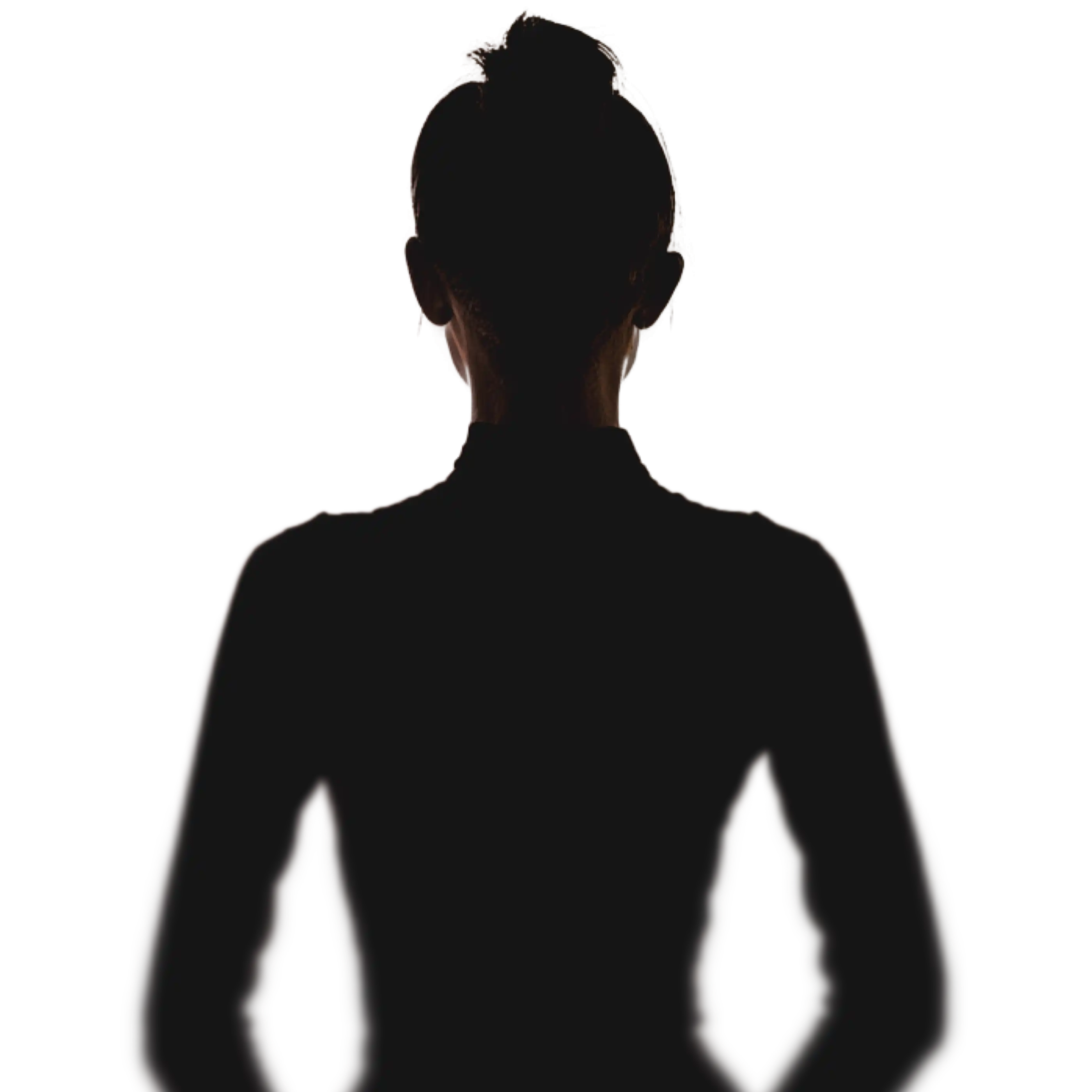 Silhouettes of the people behind the assembly